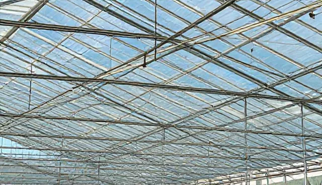 课程资源定制中的教学工具应用问题与优化方向